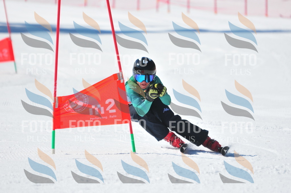 C3460 | holidayphoto