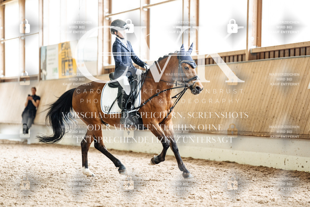 CK901548 | Turnierfotografie Pferdefotografie Trier Rheinland-Pfalz Pferdesport Reitsport Tierfotografie Sportfotografie Pferdevideo Pferdevideografie Equestrianvideography equestrianphotography  - Realisiert mit Pictrs.com