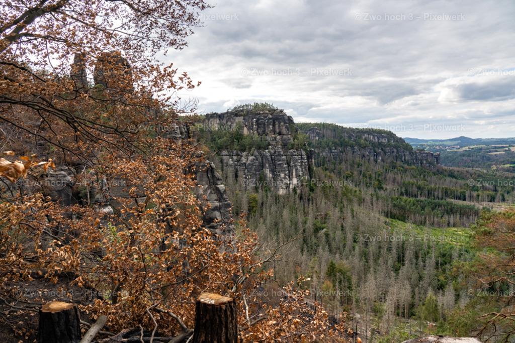 Obere_Affensteinpromenade_Frienstein_Langes_Horn_Waldsterben | 2022-09-02_Waldbrandgebiete_2 - Realisiert mit Pictrs.com