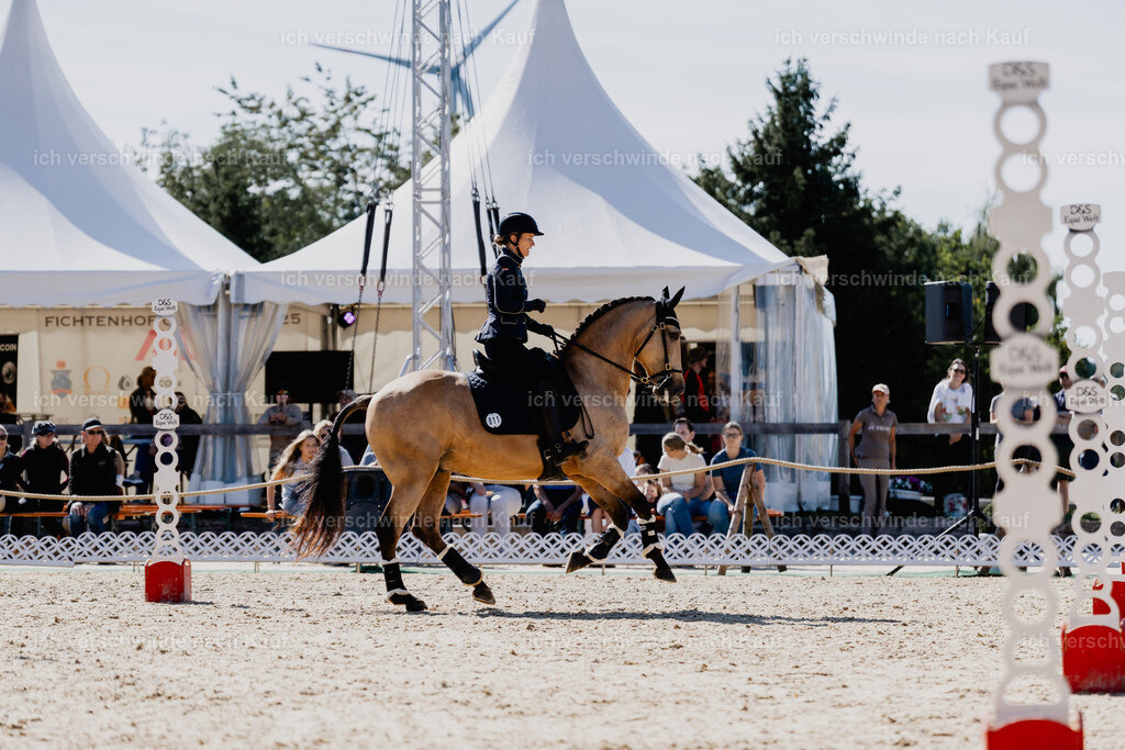Diana11_FHC2025-09039 | working equitationturnier fotograf videograf stoibphotography marixx film working equitation deutschland reitsport turnierfotografie eventfotografie equestrian events