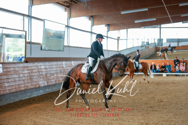 _62_7637 | Turniersportfotografie; Pferdefotografie; Dressurfotografie