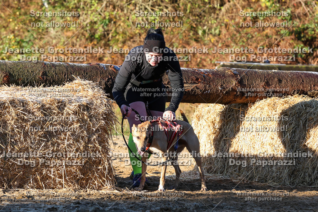 Dog Paparazzi - Strongdog 10-25-831 | Dog Paparazzi Jeanette Grottendiek Fotografie & Videografie - Realisiert mit Pictrs.com