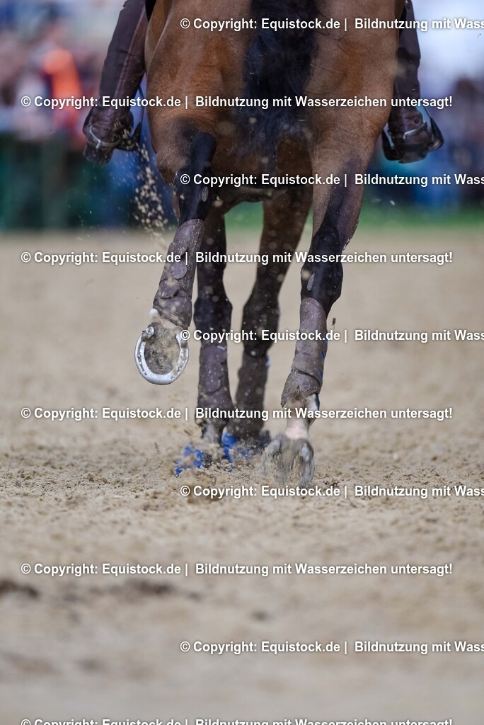 TS_20250607_27_CCI4_Gelände_0386 | Foto: Thomas Hartig