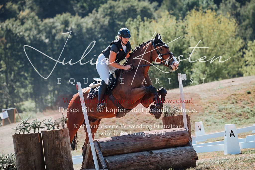 DSC_8131-2 | Pferde- und Turnierfotografie in Westsachsen. Pferdeportraits, Auftragszeichnungen und intuitive Kunst.