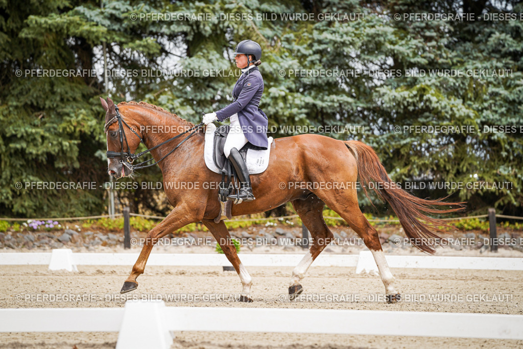 DSC04891 | Pferdegrafie