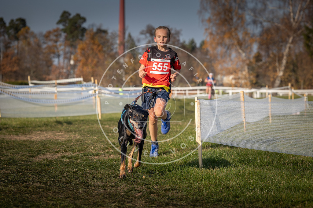 CaniXpix_0L8A9130 | Hundefotografie, Tierfotograf, Pfotenfotografie, Fotoshooting Hund, Hunde Portrait, Hundesport, Hundeportraits, Heideshooting, Hunde, Sportfotograf, Hundefotograf, Turnierhundsport, THS,  - Realisiert mit Pictrs.com