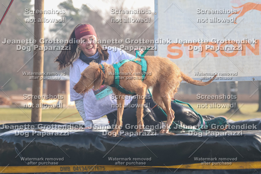 Dog Paparazzi - SD North 0326 900930-15 | Dog Paparazzi Jeanette Grottendiek Fotografie & Videografie - Realisiert mit Pictrs.com