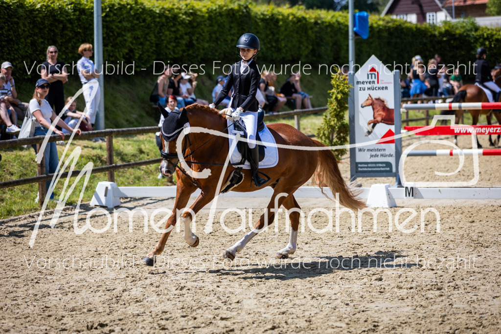 Donop24-RWB-051 | MomenTaufnahmen Pferdesportfotos