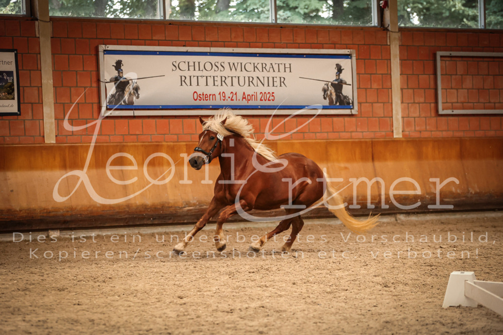 SaFL00490 | Leoni Ertmer Photography - Realisiert mit Pictrs.com