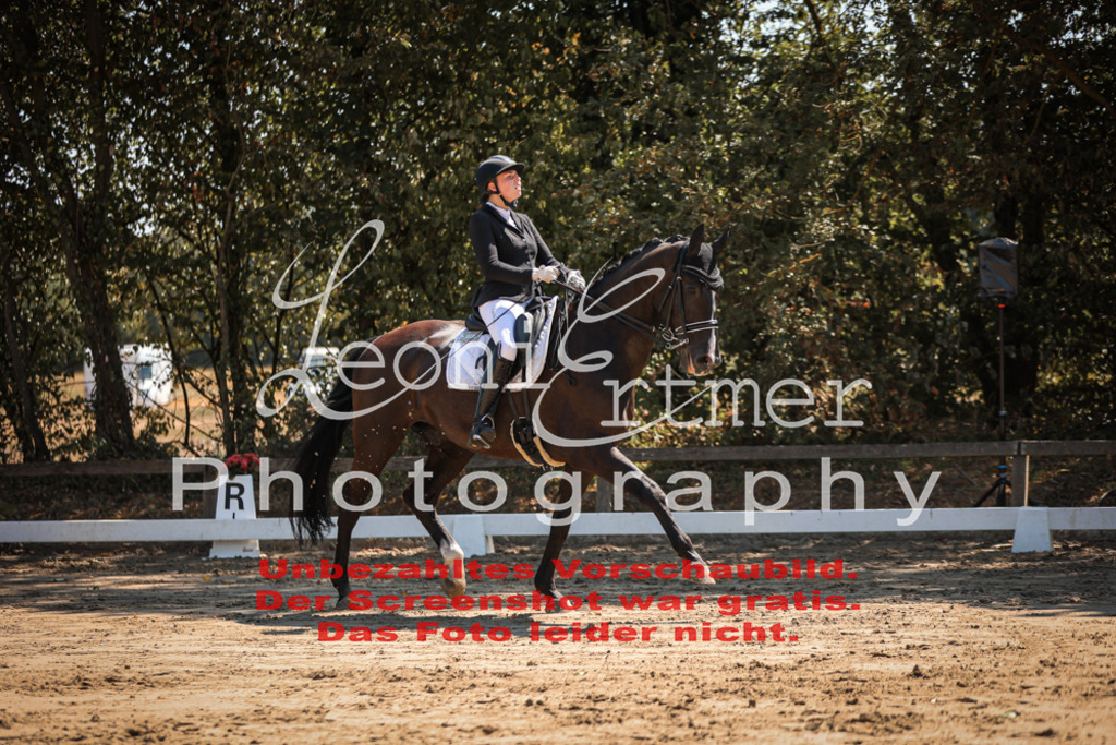 06.SoDrM00163 | Leoni Ertmer Photography - Realisiert mit Pictrs.com