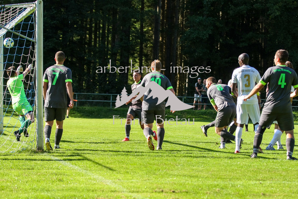 993T2731 | Medien- Sport- Entertainmentfotos