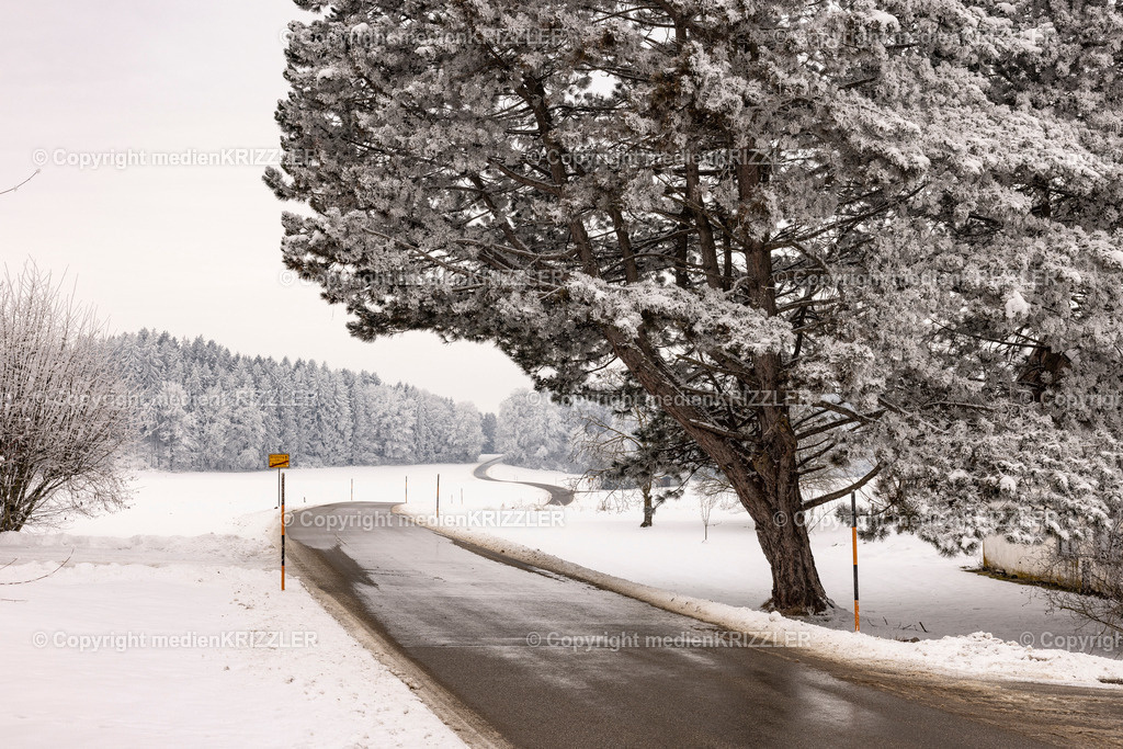 _J3A9680 | medienkrizzler - Realisiert mit Pictrs.com