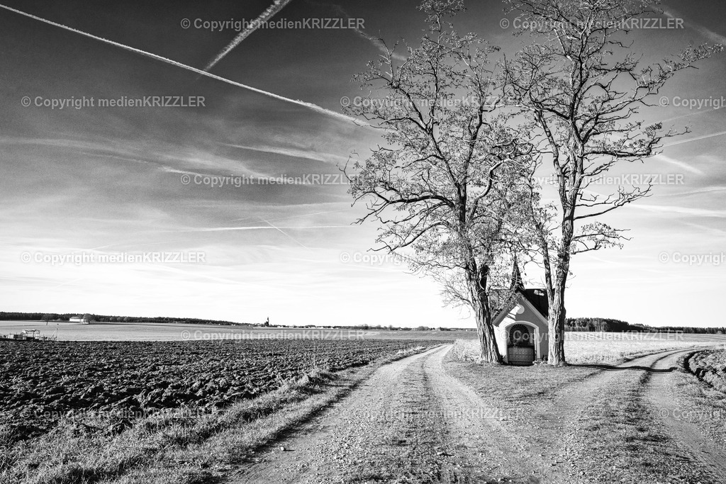 _J3A9885 | medienkrizzler - Realisiert mit Pictrs.com