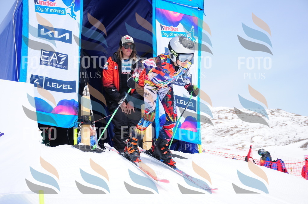 DSC_2510 | holidayphoto