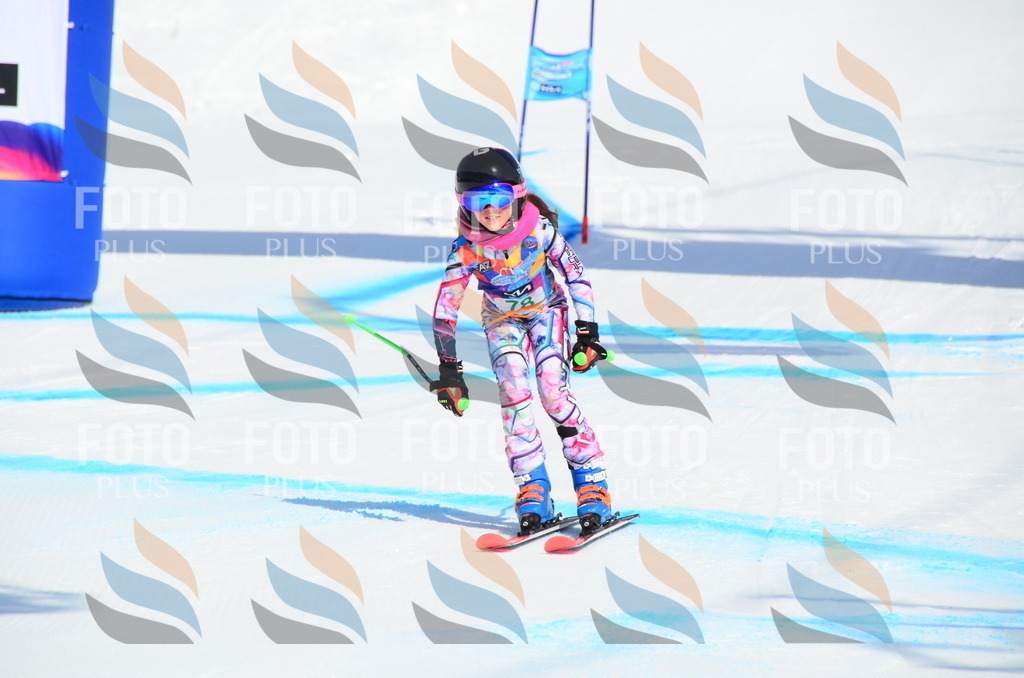 DSC_0476 | holidayphoto