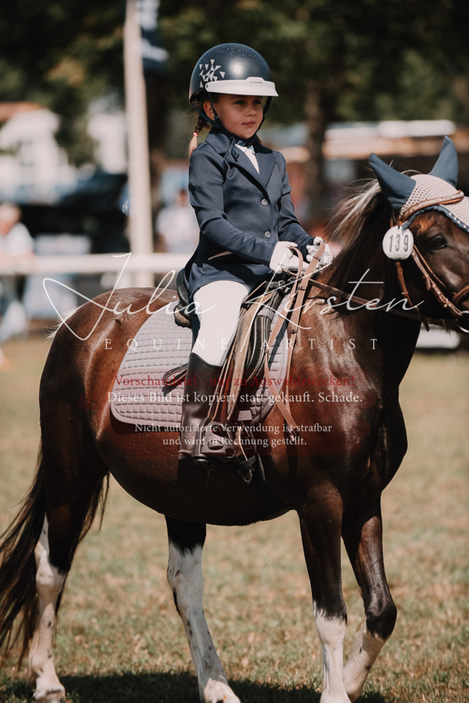DSC_6009 | Pferde- und Turnierfotografie in Westsachsen. Pferdeportraits, Auftragszeichnungen und intuitive Kunst.
