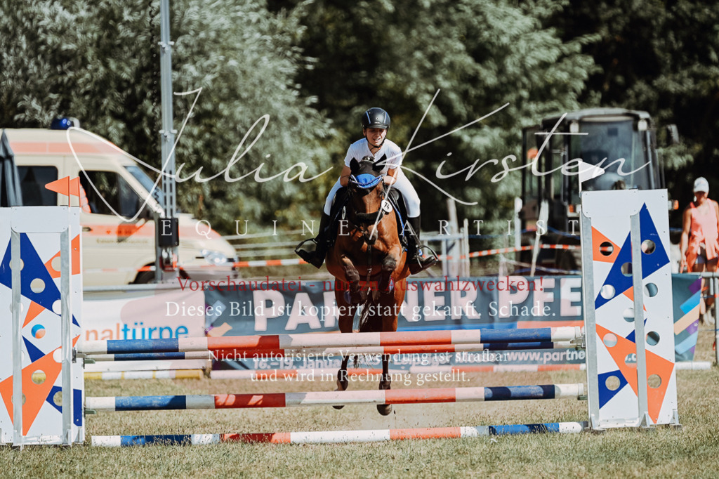 DSC_9617 | Pferde- und Turnierfotografie in Westsachsen. Pferdeportraits, Auftragszeichnungen und intuitive Kunst.