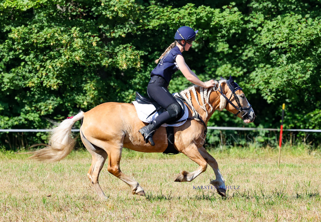 1B3A7858 | Reitsport Reiten