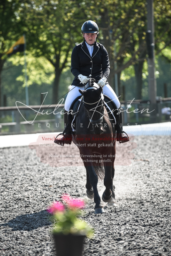 DSC_8804 | Pferde- und Turnierfotografie in Westsachsen. Pferdeportraits, Auftragszeichnungen und intuitive Kunst.