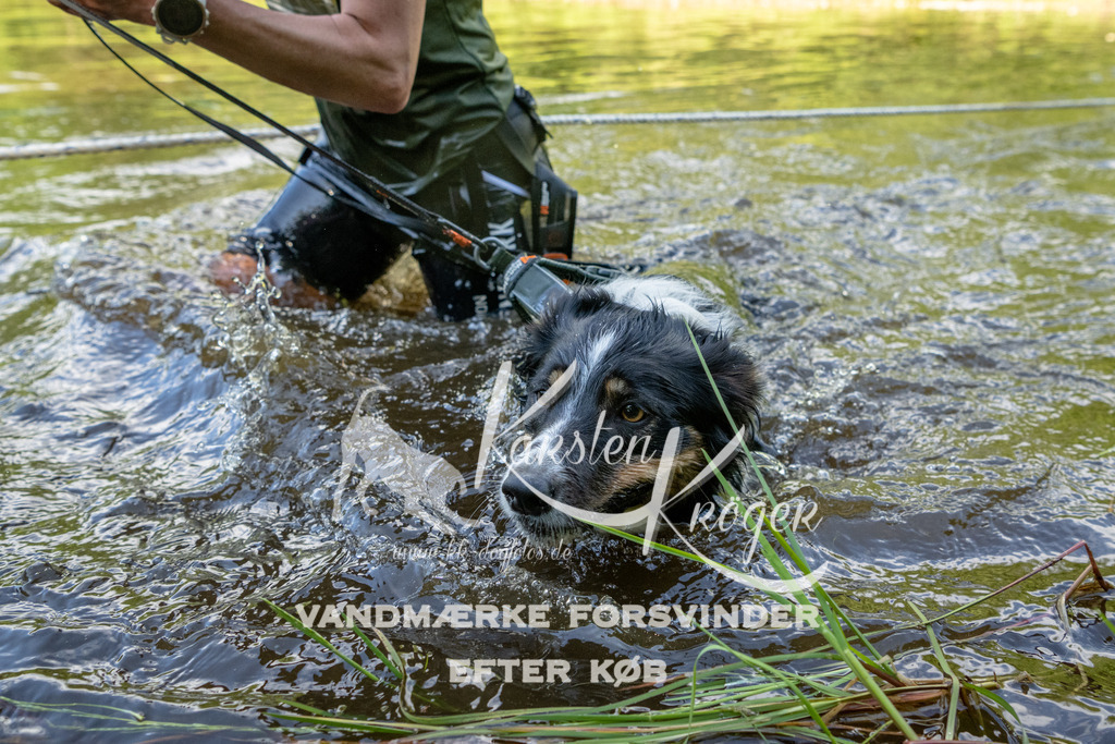 0925DKK9_ZZ91845 | kk-dogfotos