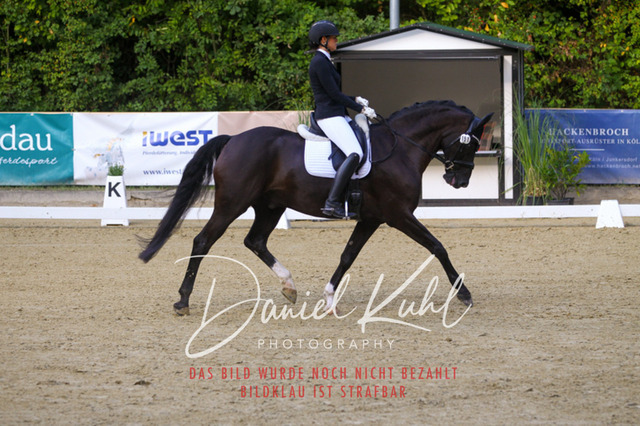 DKP41089 | Turniersportfotografie; Pferdefotografie; Dressurfotografie