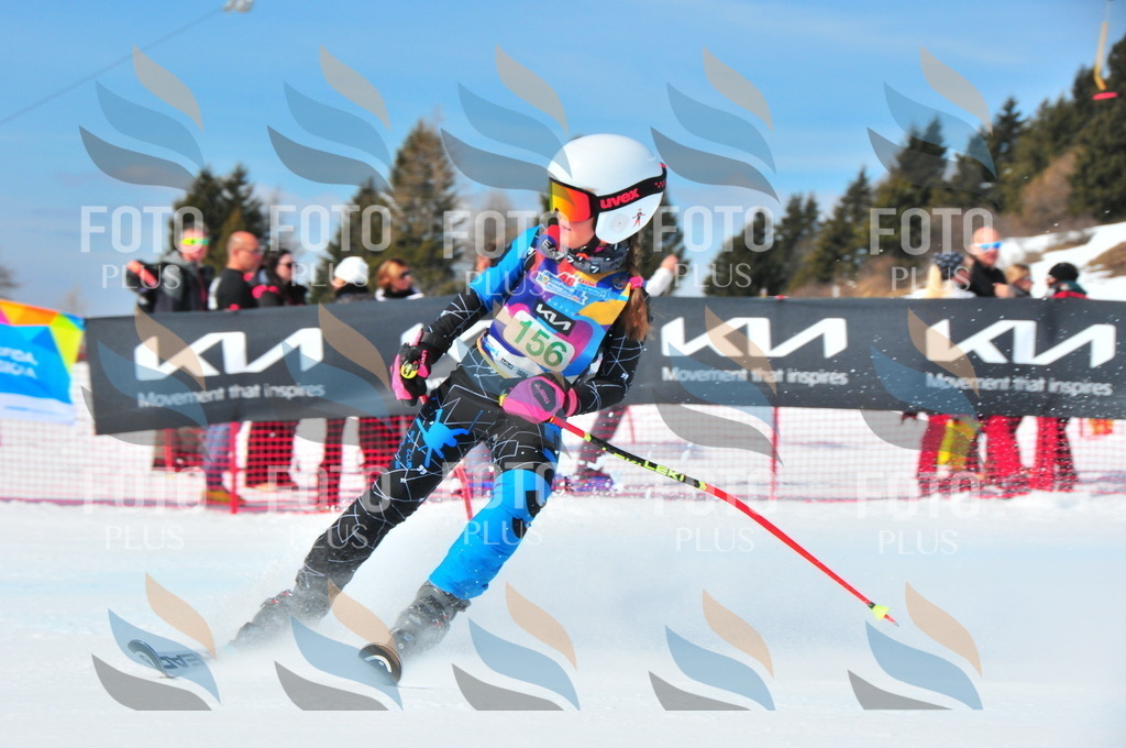 DSC_1379 | holidayphoto