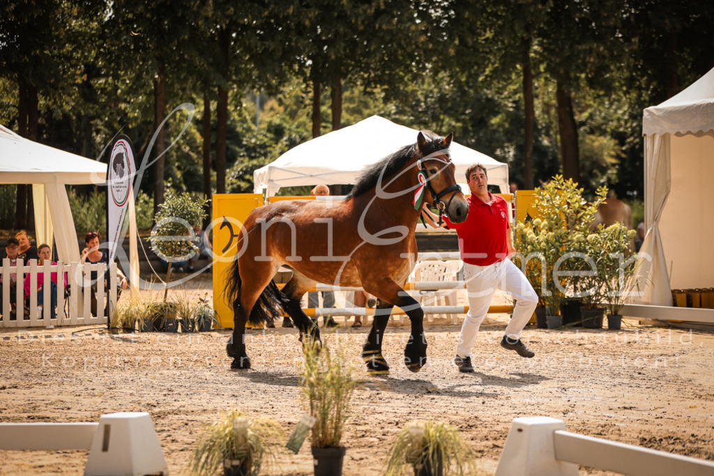 1.Sa00070 | Leoni Ertmer Photography - Realisiert mit Pictrs.com