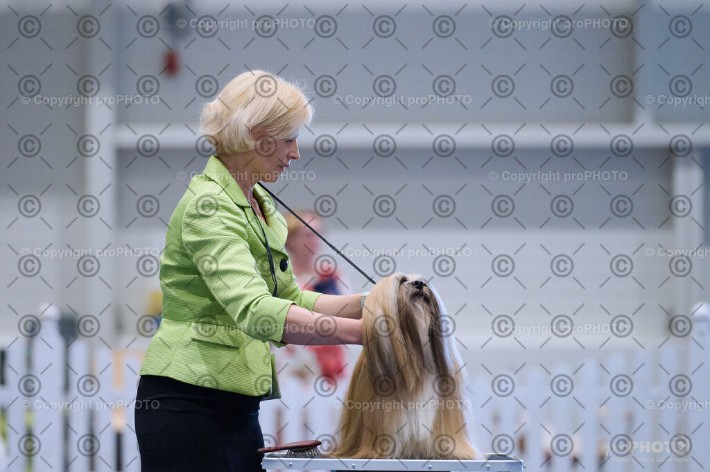 202406_ÖKV-IHA-Tulln24_DSC_4471 | proPHOTO - Realisiert mit Pictrs.com