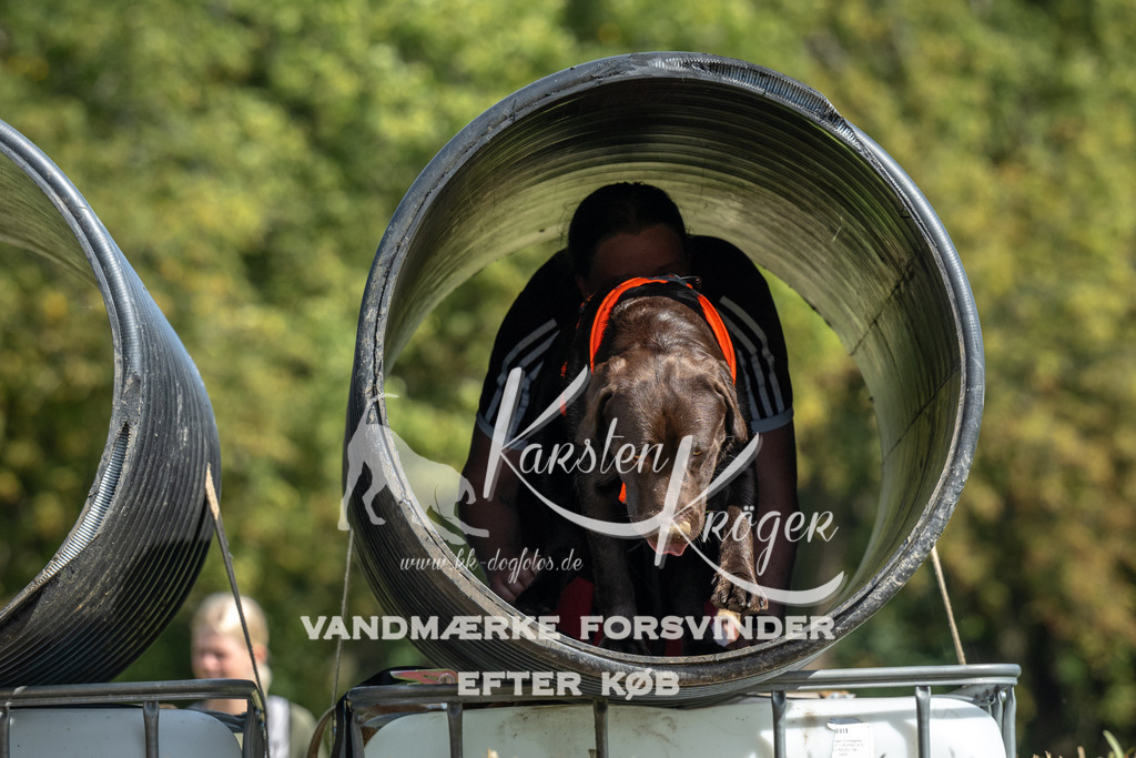 1305_ZZ91965 | kk-dogfotos