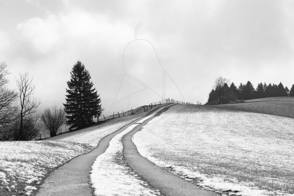 Mostviertel Schwarz Weiß | Ihre Fotografin im Lungau, ihre Fotografin im Mostviertel, Wandbilder Onlineshop, Imagefotos für Ihr Unternehmen,  - Realisiert mit Pictrs.com