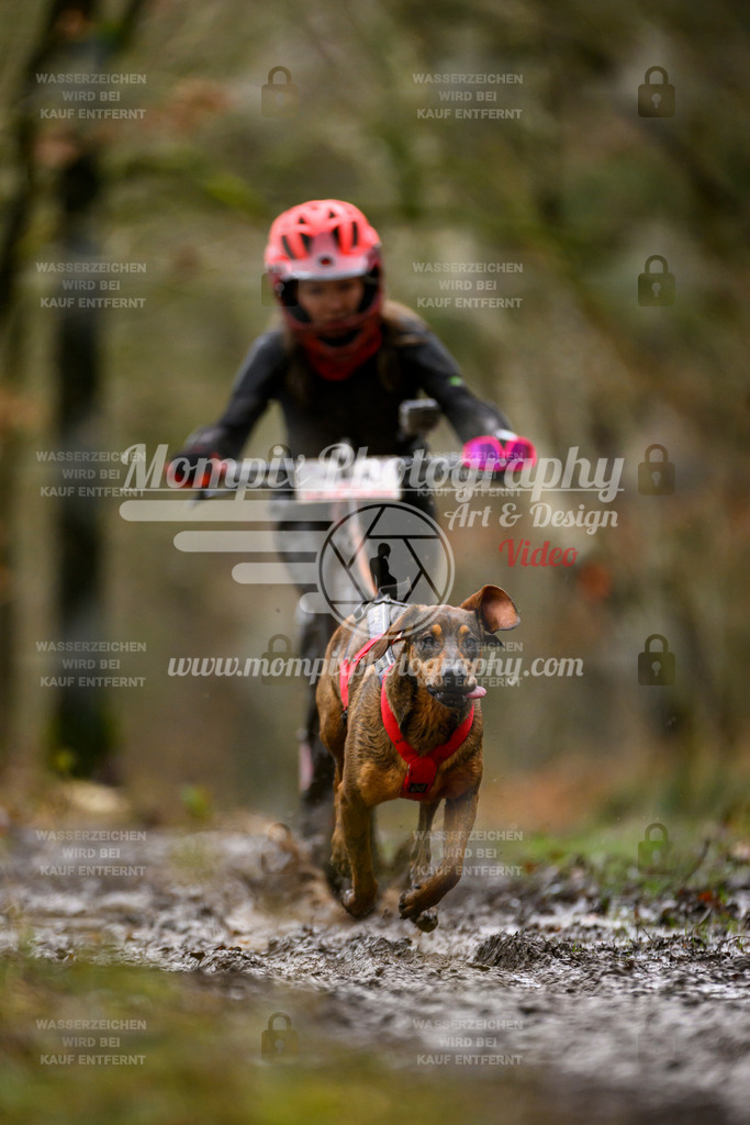 MompixPhotography_CDSM24_SA_DS1-40 | PayLife