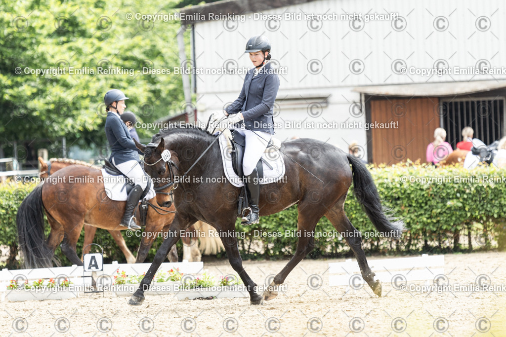 CL5A7650 | Emilia Reinking Fotografie - Realisiert mit Pictrs.com