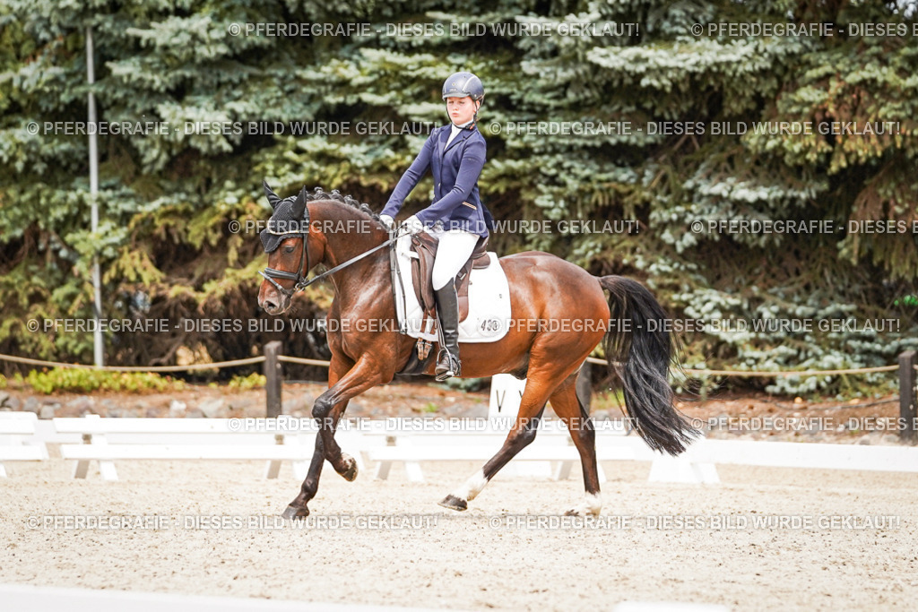 DSC04284 | Pferdegrafie