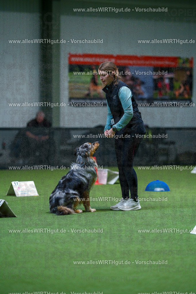 7R503119 | Professionelle Tierfotografie in Mönchengladbach von Daniel Wirth (allesWIRTHgut). Liebevolle & natürliche Bilder von Hunden & Katzen für unvergessliche Erinnerungen.