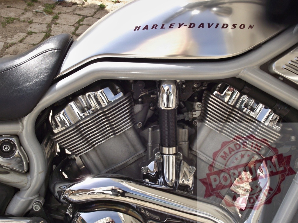 Harley-Davidson V-Rod motorcycle engine close-up | Harley-Davidson V-Rod motorcycle engine showing chrome parts and fuel tank - Realisiert mit Pictrs.com