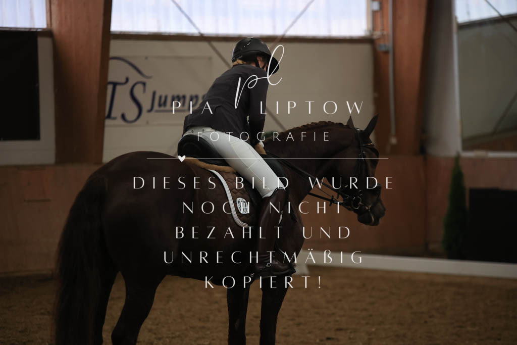 IMGT9430 | pl-fotografie