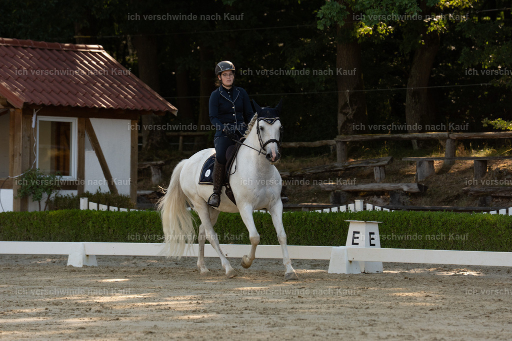 WA_DR_4_SinaFilmArt_IN00951 | working equitationturnier fotograf videograf stoibphotography marixx film working equitation deutschland reitsport turnierfotografie eventfotografie equestrian events