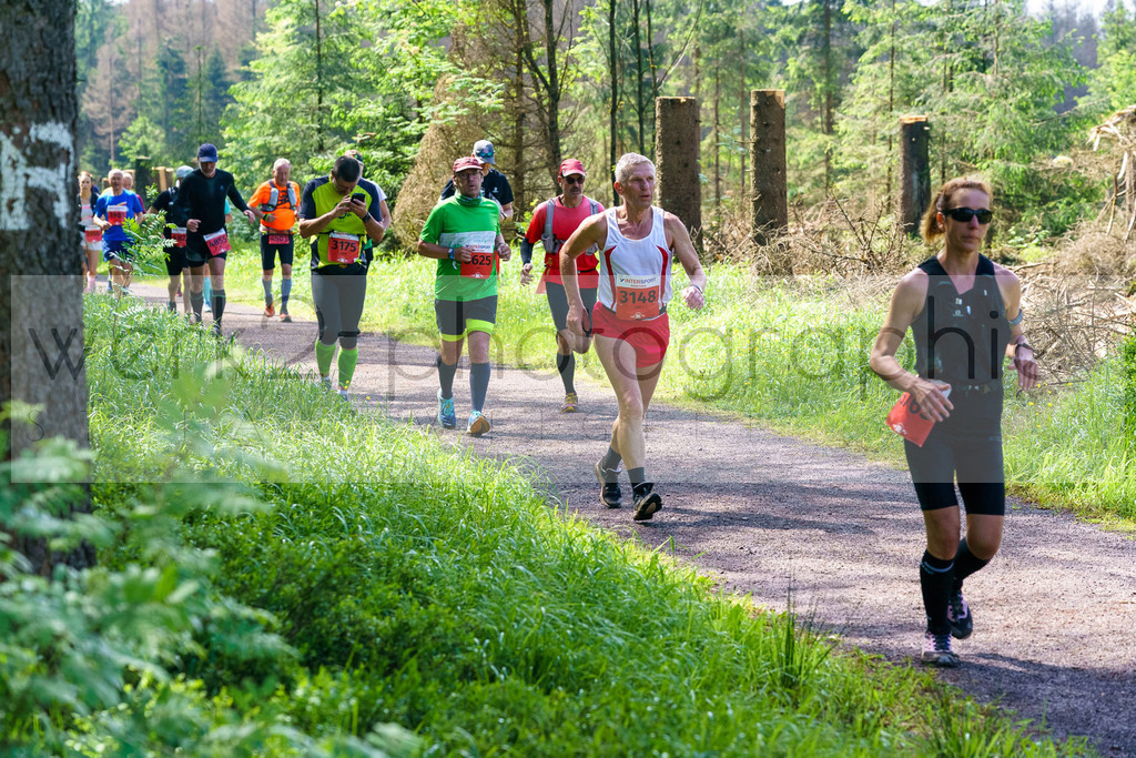 Rennsteiglauf Marathon 2024 | 25. Mai 2024 - 42,2 km von Neuhaus nach Schmiedefeld