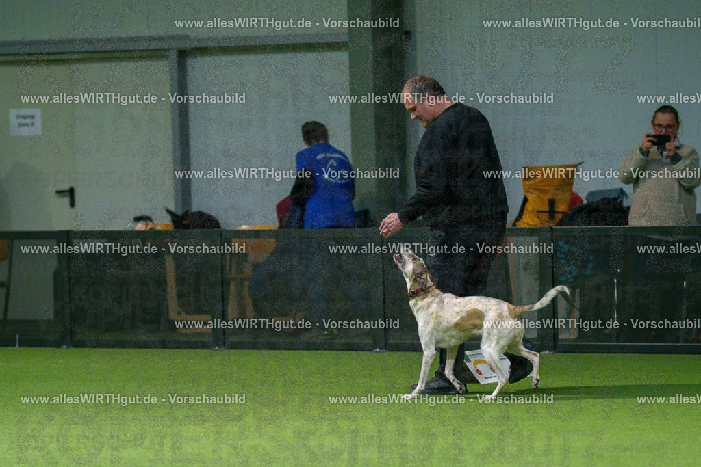 7R505309 | Professionelle Tierfotografie in Mönchengladbach von Daniel Wirth (allesWIRTHgut). Liebevolle & natürliche Bilder von Hunden & Katzen für unvergessliche Erinnerungen.