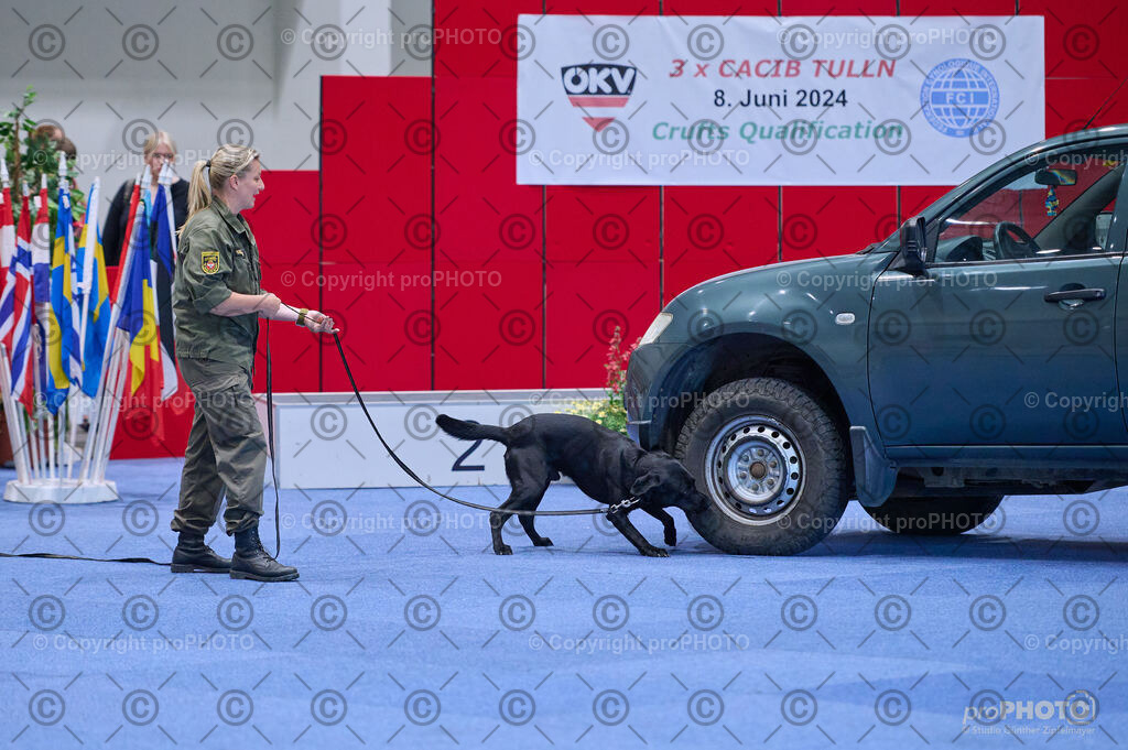 202406_ÖKV-IHA-Tulln24_DSC_3585 | proPHOTO - Realisiert mit Pictrs.com