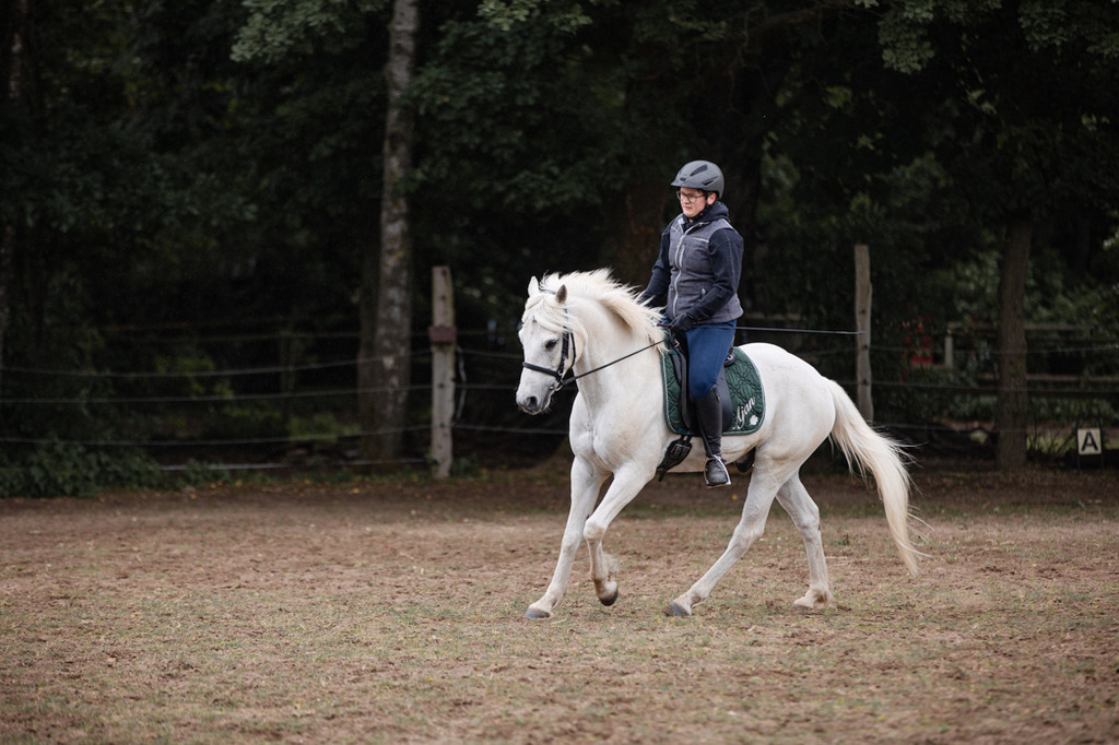 846A0239 | fotosleben - Realisiert mit Pictrs.com