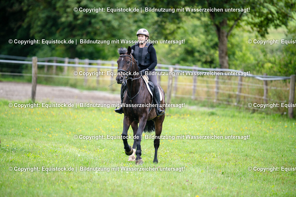 20250725_Vielseitigkeitslehrgang-Marbach_0112 | Foto: Thomas Hartig