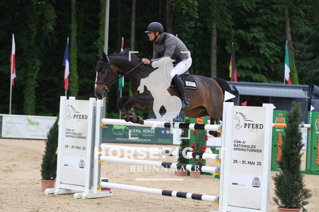 0P6A2694 | Willkommen bei Brunnmayr - Design & Fotografie – Ihrem Spezialisten für Reitturniere und Pferdeveranstaltungen in Oberösterreich, Salzburg und Bayern! Seit über 17 Jahren sind wir leidenschaftlich dabei.