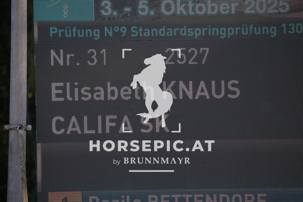 DL2Q4296 | Willkommen bei Brunnmayr - Design & Fotografie – Ihrem Spezialisten für Reitturniere und Pferdeveranstaltungen in Oberösterreich, Salzburg und Bayern! Seit über 17 Jahren sind wir leidenschaftlich dabei.