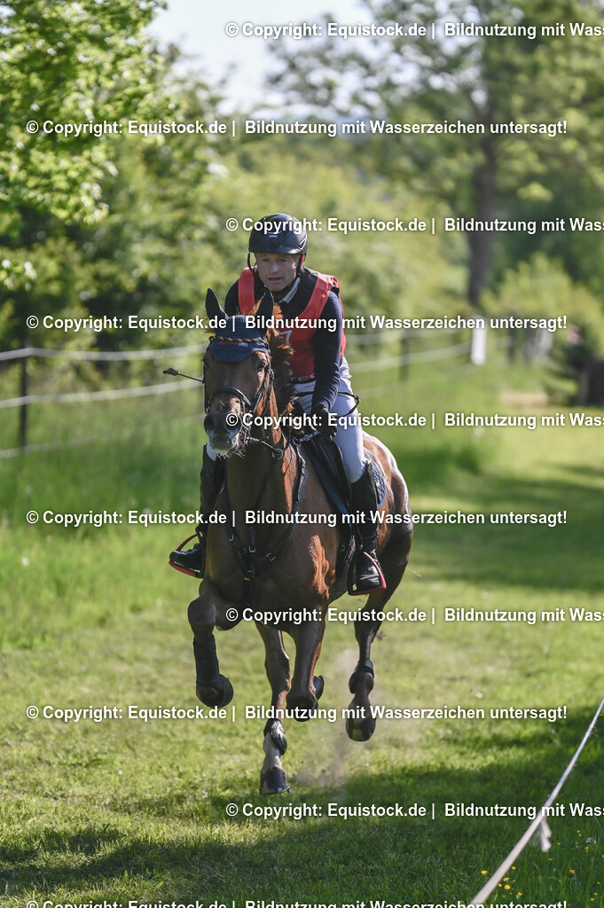 20250517_CCI2_Gelände_0352 | Foto: Thomas Hartig