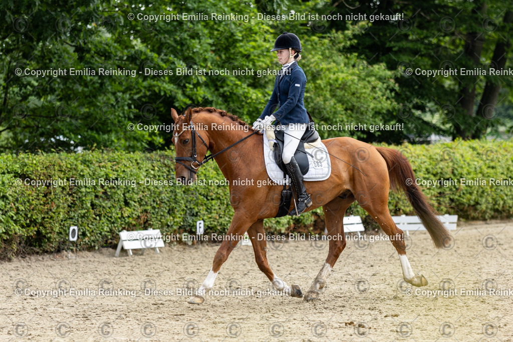 CL5A5017 | Emilia Reinking Fotografie - Realisiert mit Pictrs.com