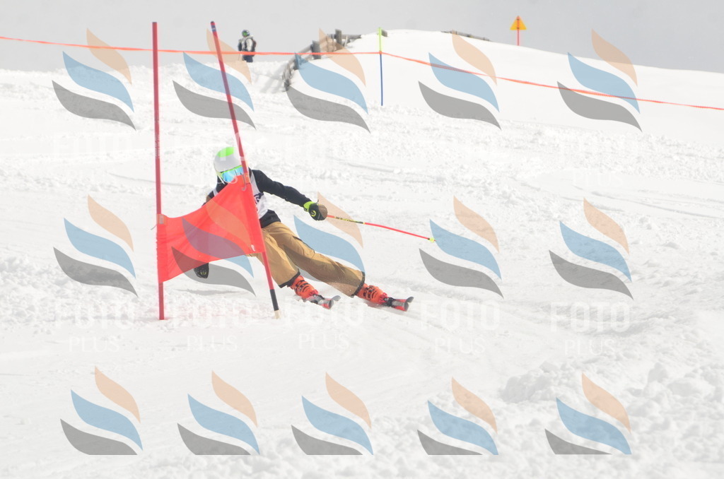 A5668 | holidayphoto