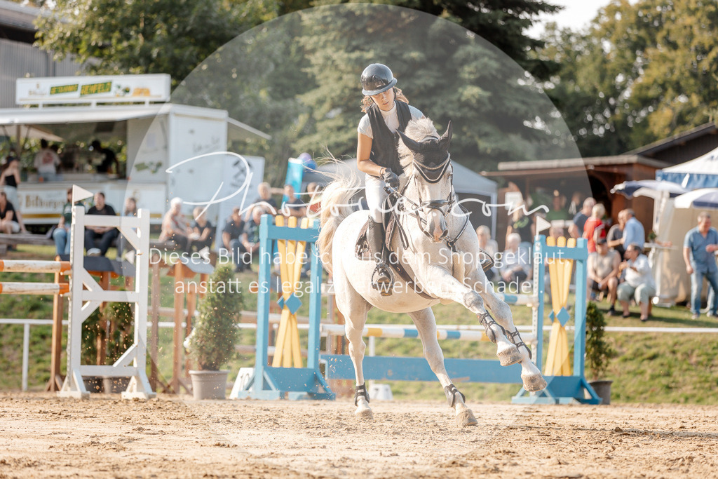 3I6A5235 | Stimmungsvolle Portraits und Reitsportfotografie im Ruhrgebiet und im Münsterland.

Pferdefotografie, Hundefotografie, Tierfotografie, Reportagen, Portraits von Tier und Mensch, Turnierfotografie in Bochum, Recklinghausen, Marl, Haltern am See, Dülmen.. - Realisiert mit Pictrs.com