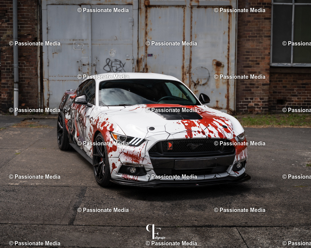 DSC04765 | Passionate Media, dein Fotograf aus Brandenburg, Märkisch Oderland, im Bereich Motorsport, Autos und Motorräder sowie Events und auch Hunde. Shootings oder auch Eventbegleitungen können bei mir gebucht we