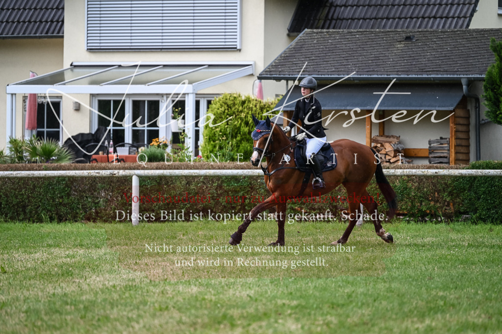 DSC_8318 | Pferde- und Turnierfotografie in Westsachsen. Pferdeportraits, Auftragszeichnungen und intuitive Kunst.